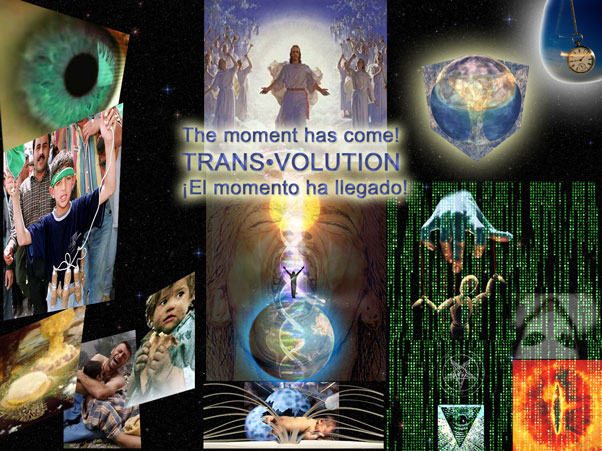 TRANSVOLUTION