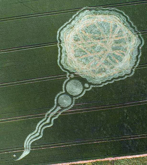 Circulo de Trigo del 5 de junio, 2009 donde claramente aparece una imagen relacionada con el Virus A/H1N1
